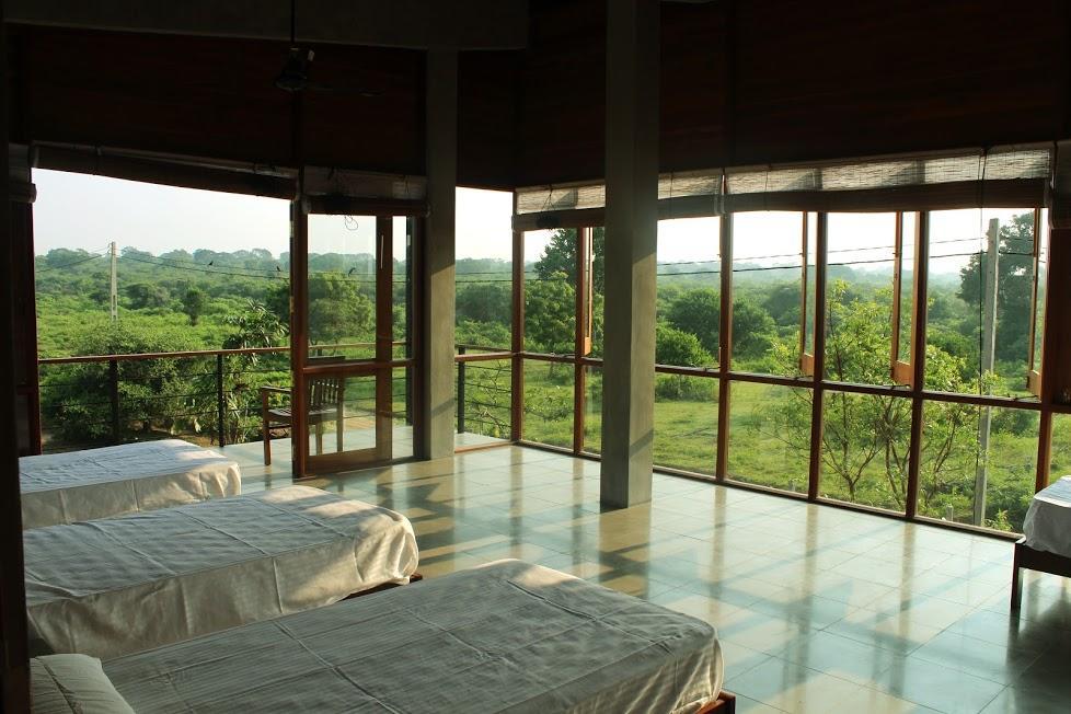 Tree Tops يالا المظهر الخارجي الصورة