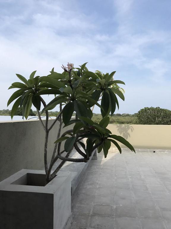 Tree Tops يالا المظهر الخارجي الصورة