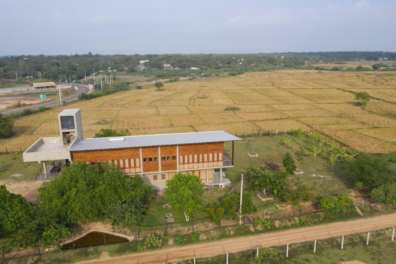 Tree Tops يالا المظهر الخارجي الصورة